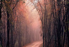 天涯论坛创业家园发贴：聊聊我的网上创业故事