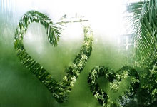 天涯论坛创业家园发贴：聊聊我的网上创业故事